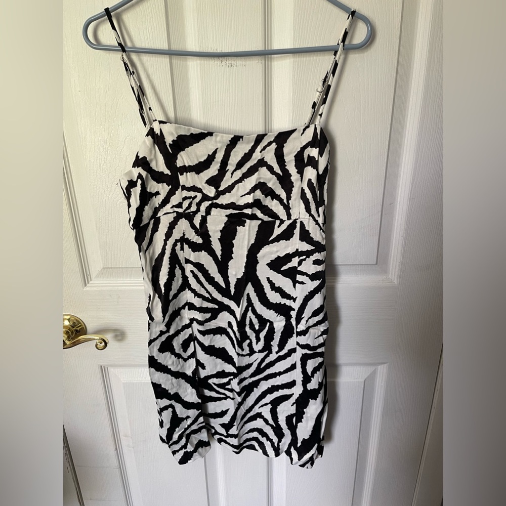 Zara Zebra Print Mini Dress